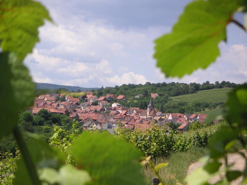 Gite Le Petit Moulin Rosenwiller Bagian luar foto