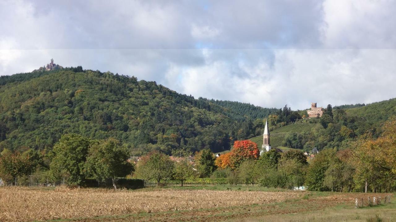 Gite Le Petit Moulin Rosenwiller Bagian luar foto