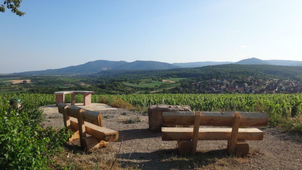 Gite Le Petit Moulin Rosenwiller Bagian luar foto