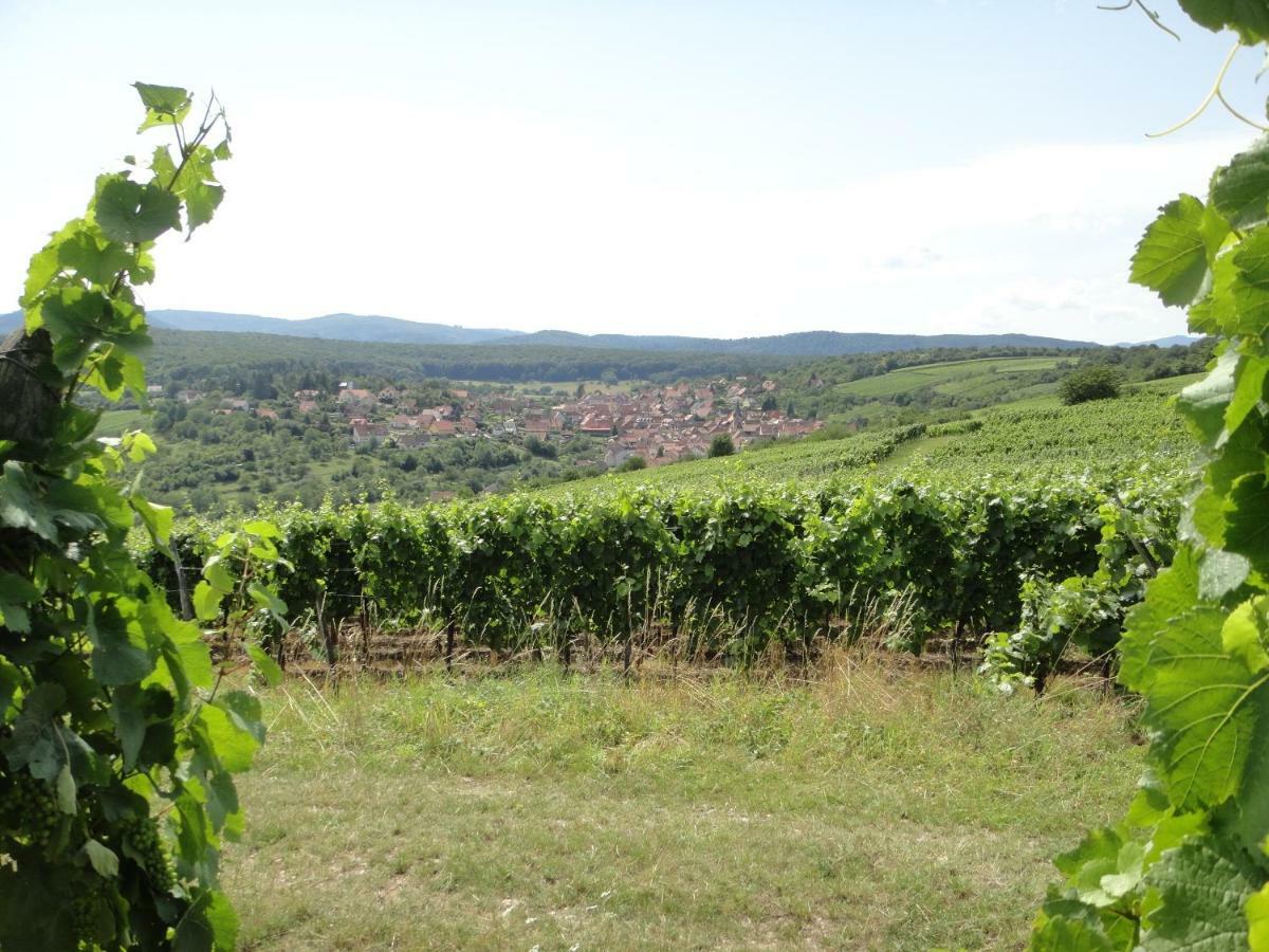 Gite Le Petit Moulin Rosenwiller Bagian luar foto