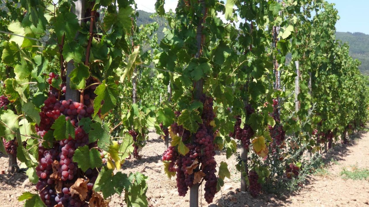 Gite Le Petit Moulin Rosenwiller Bagian luar foto