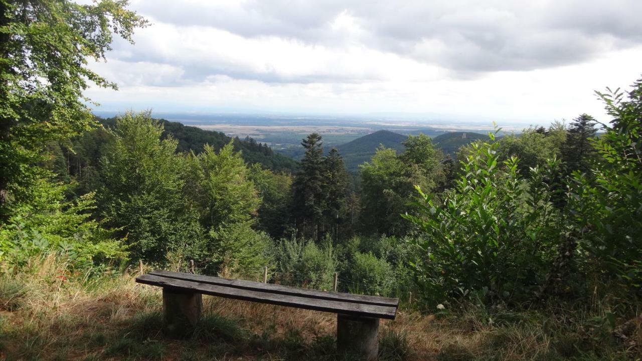 Gite Le Petit Moulin Rosenwiller Bagian luar foto