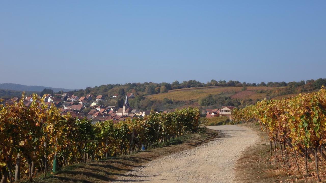 Gite Le Petit Moulin Rosenwiller Bagian luar foto